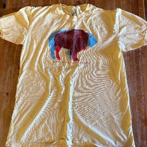 Vintage Look South Dakota Black Hills Bison Graphic T-Shirt - Men’s Large